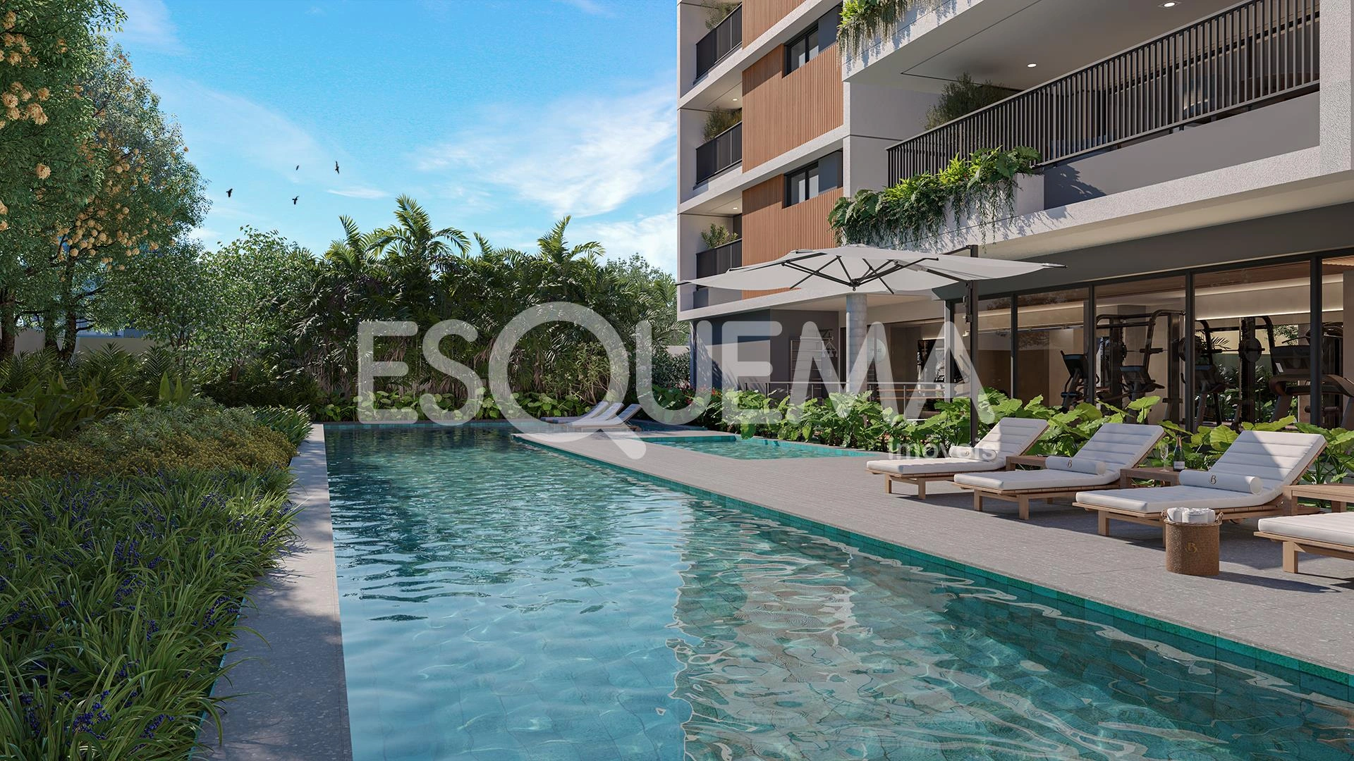 BAUME ITAIM - Imagem 7