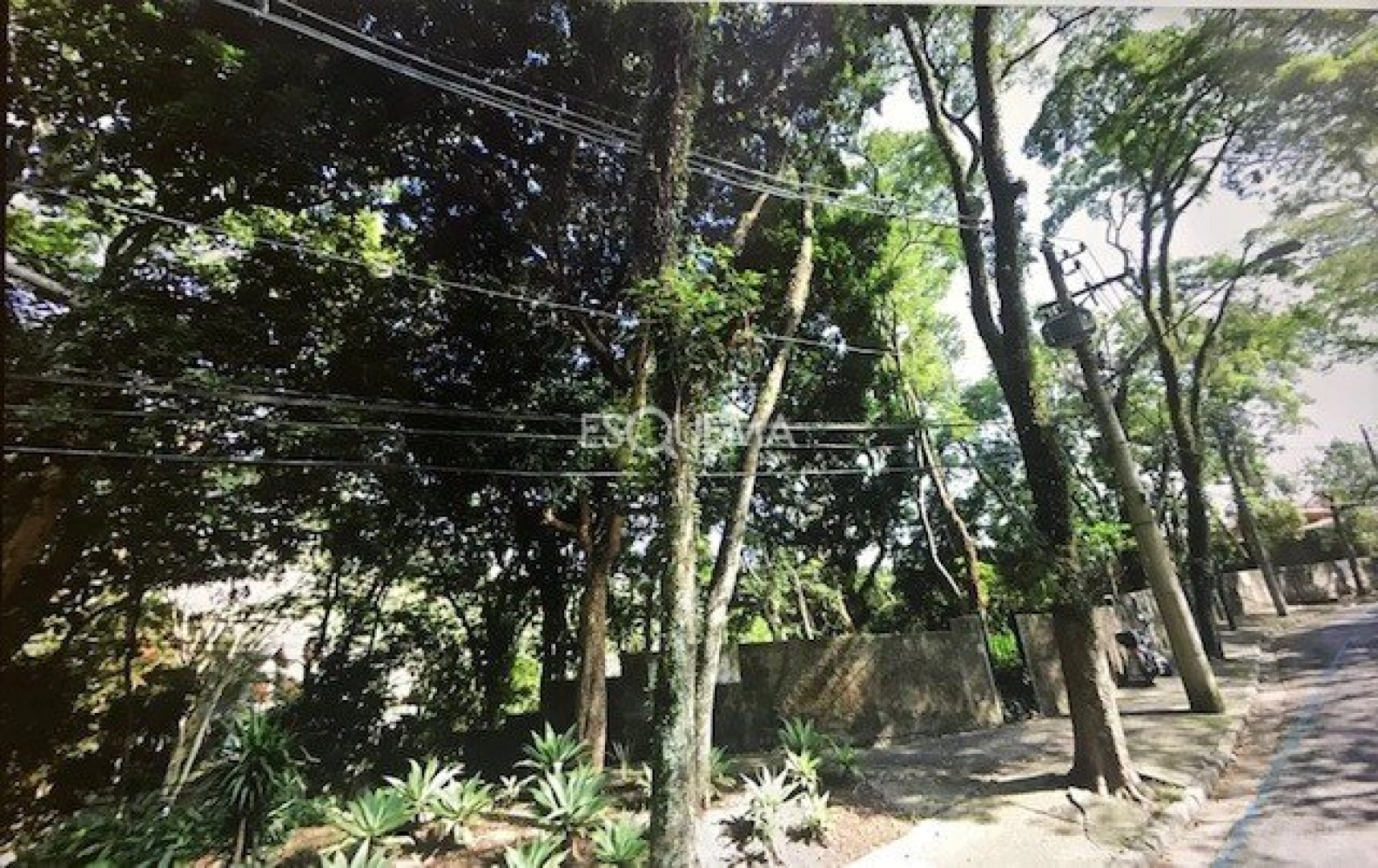 Terreno de 1.283 m² no Cidade Jardim - Imagem 3