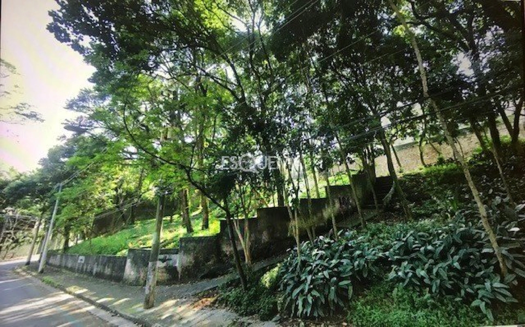 Terreno de 1.283 m² no Cidade Jardim - Imagem 4