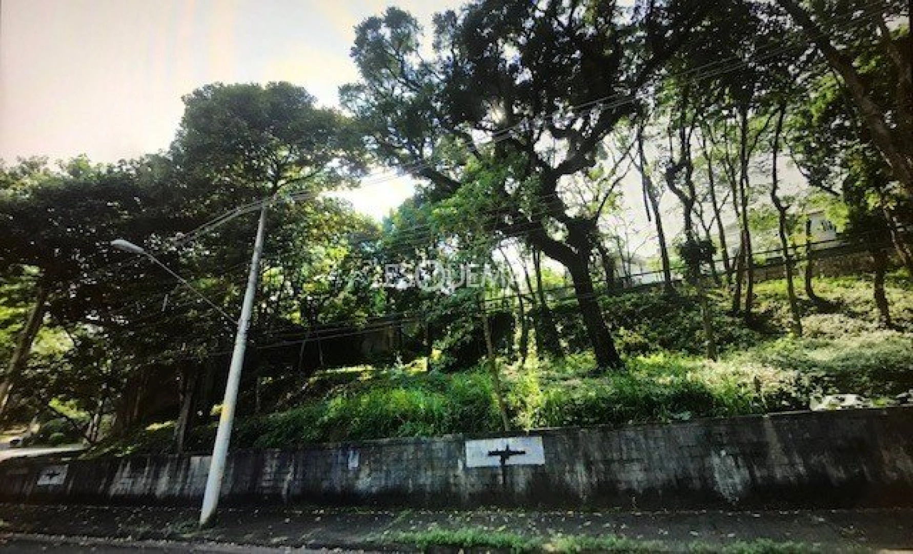 Terreno de 1.283 m² no Cidade Jardim - Imagem 5