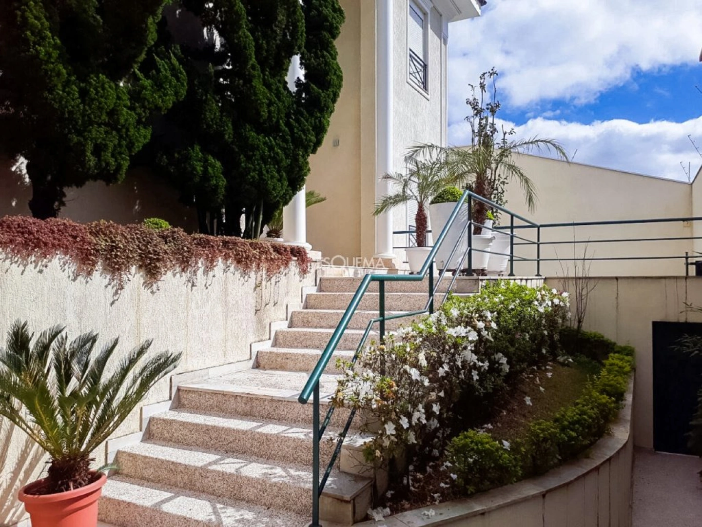 Casa com jardim e piscina no Morumbi - Imagem 4