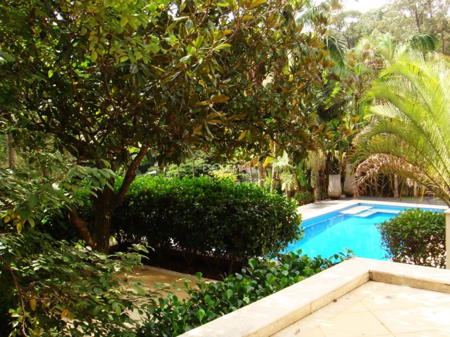 Casa em terreno com 1.600m2 Morumbi - Imagem 13