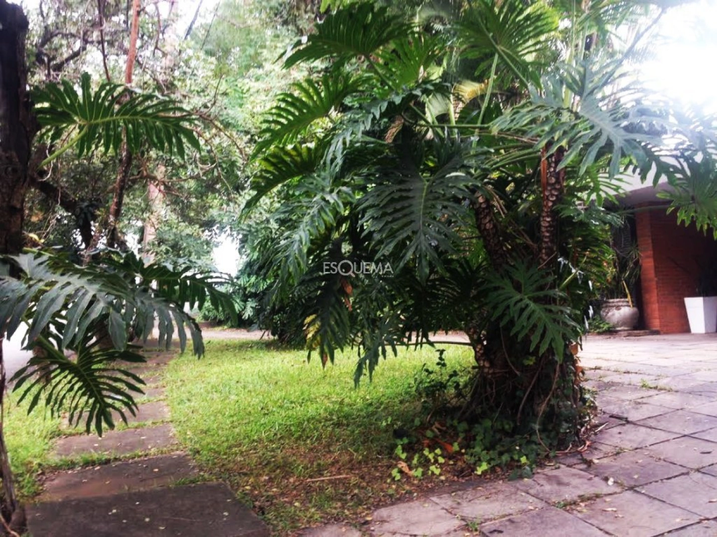 Casa com grande terreno, para reforma. - Imagem 2