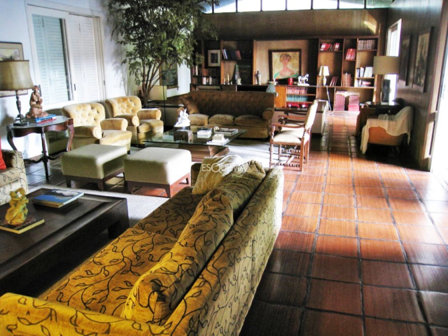 Casa com grande terreno, para reforma. - Imagem 4