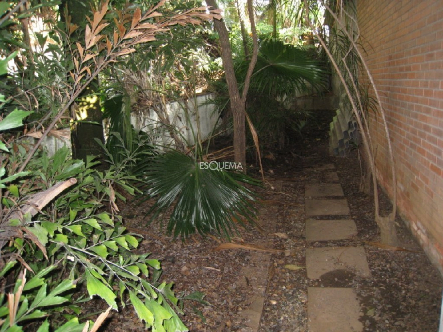 Casa com grande terreno, para reforma. - Imagem 9