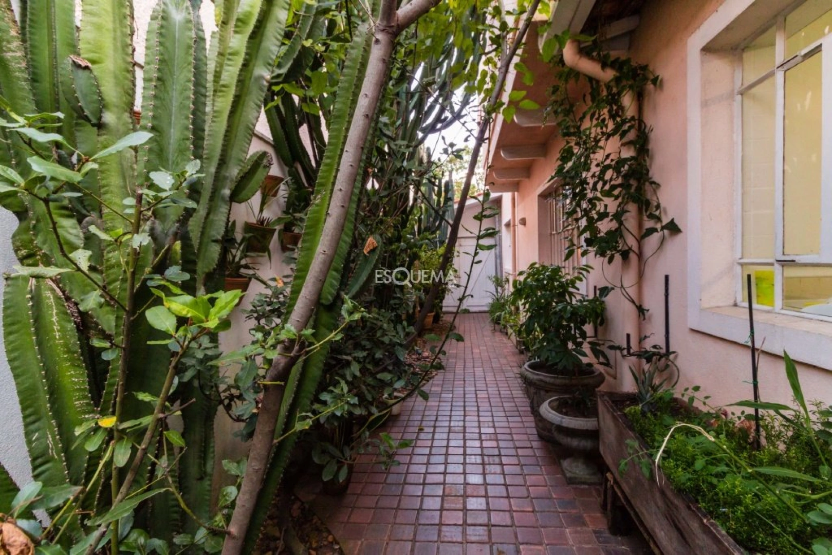 Casa com ótima localização , Jardim Europa - Imagem 11