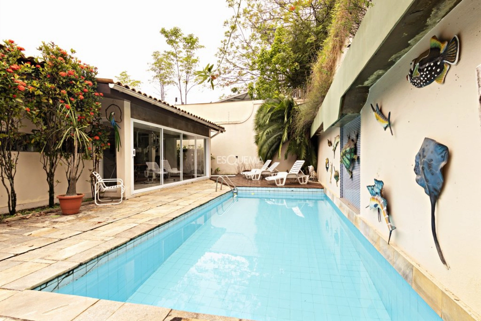 Casa com jardim e piscina - Imagem 1