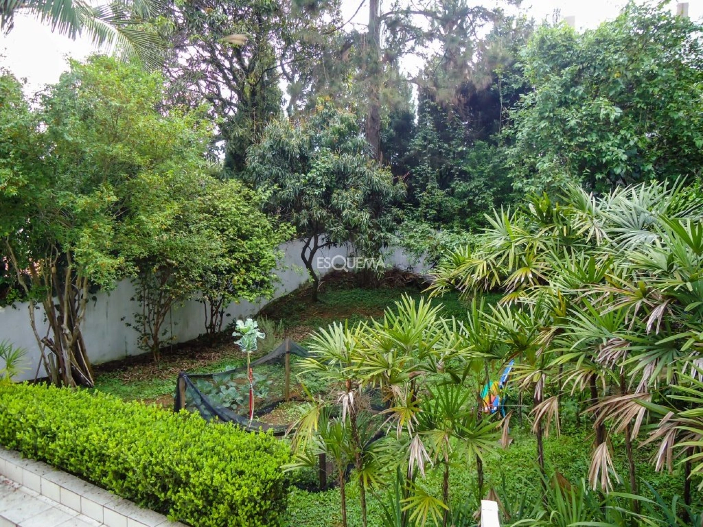 Casa para reforma no Jardim Morumbi - Imagem 8