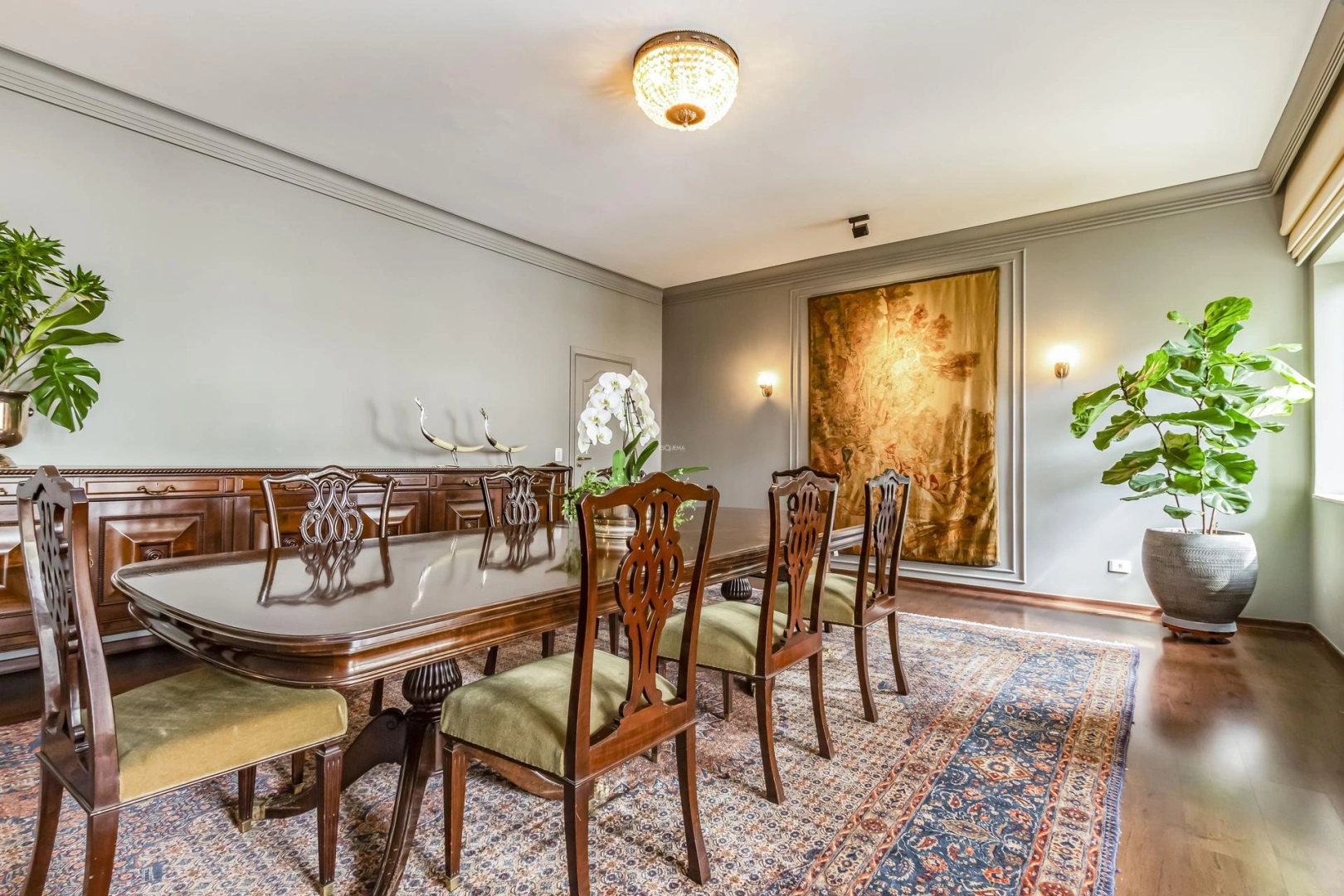 Apartamento próximo ao Parque Buenos Aires - Imagem 13