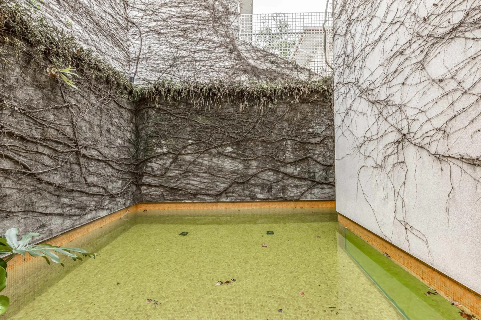 Casa com projeto de Isay Weinfeld - Imagem 5