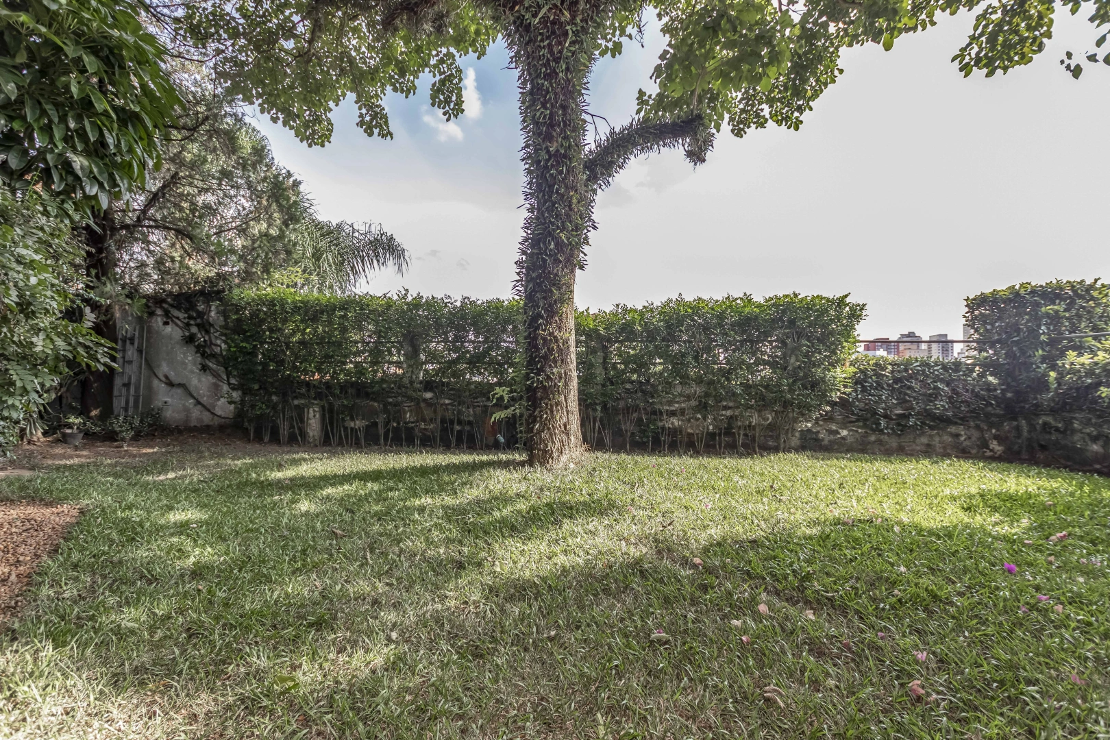 Casa em rua tranquila e arborizada - Imagem 1