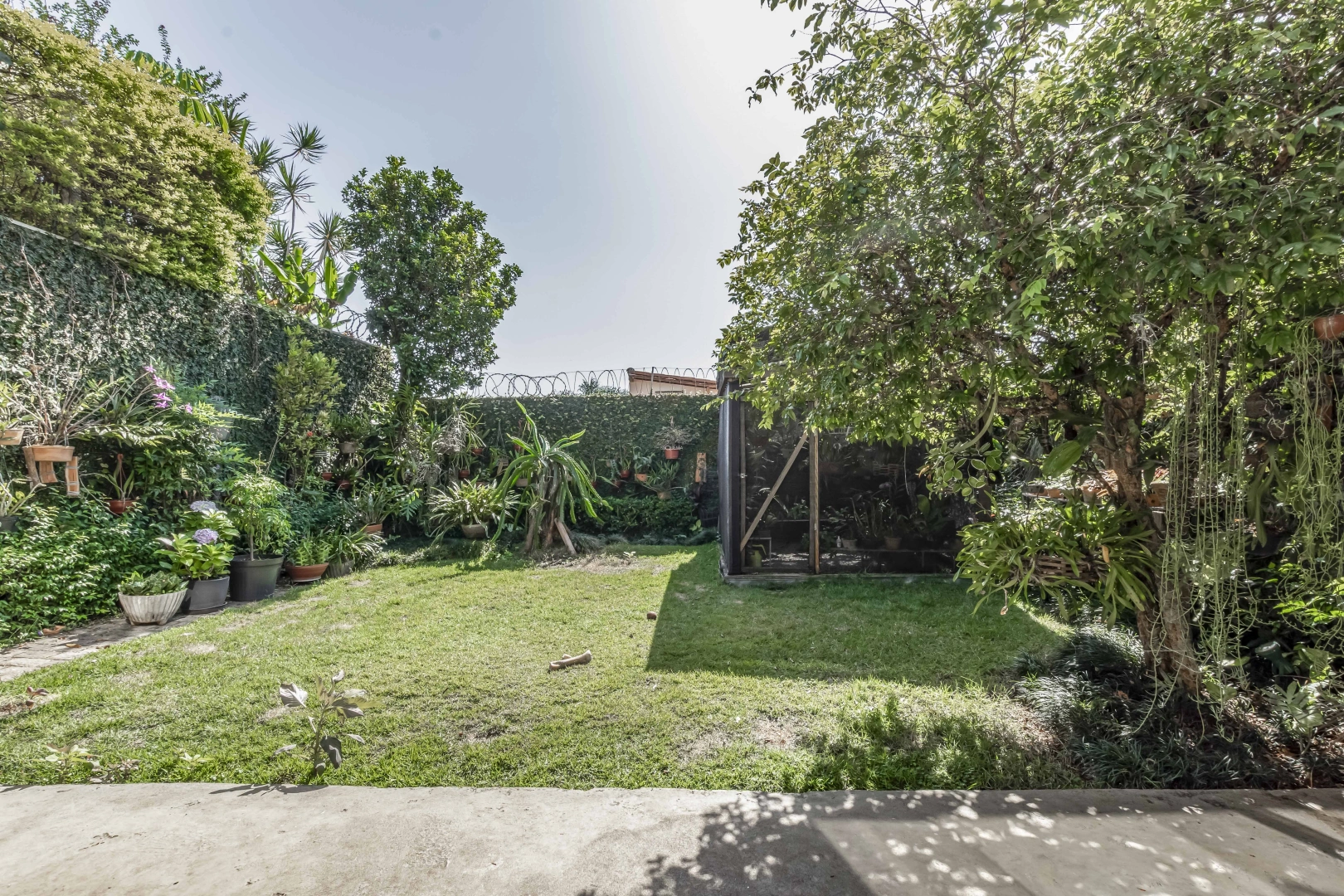 Casa com jardim em localização privilegiada - Imagem 3