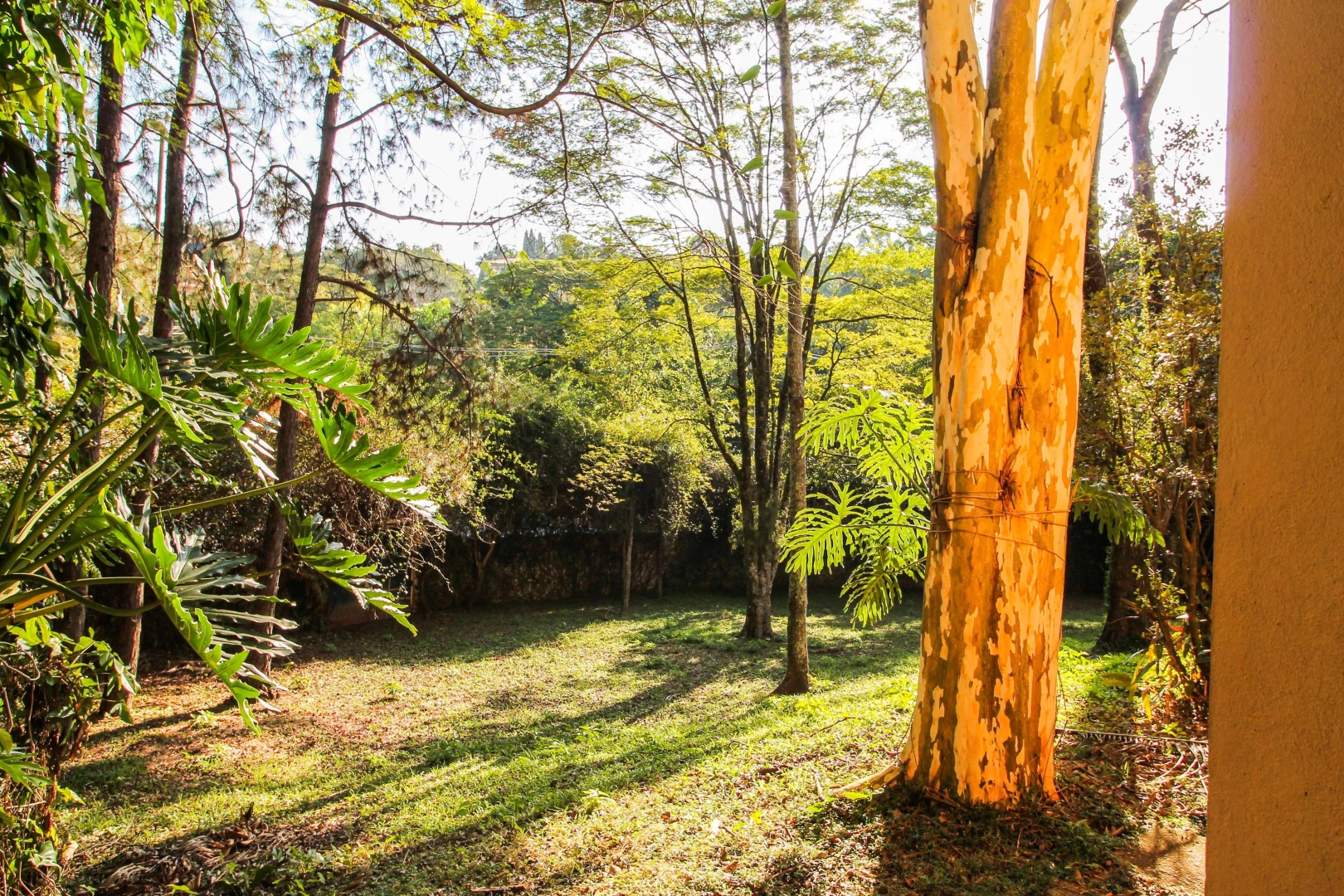Casa versátil em localização nobre - Imagem 5