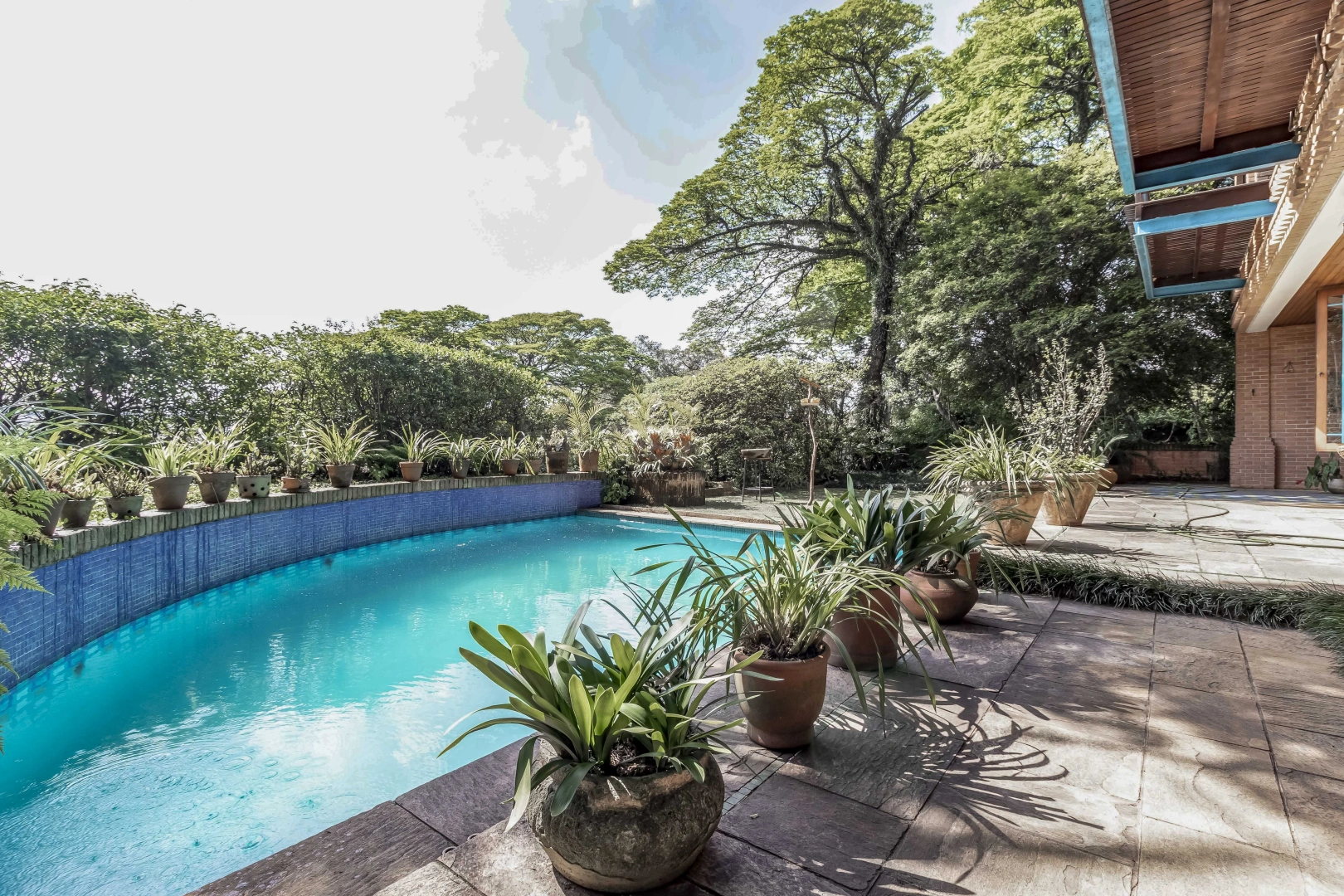 Casa com projeto diferenciado em rua arborizada - Imagem 1