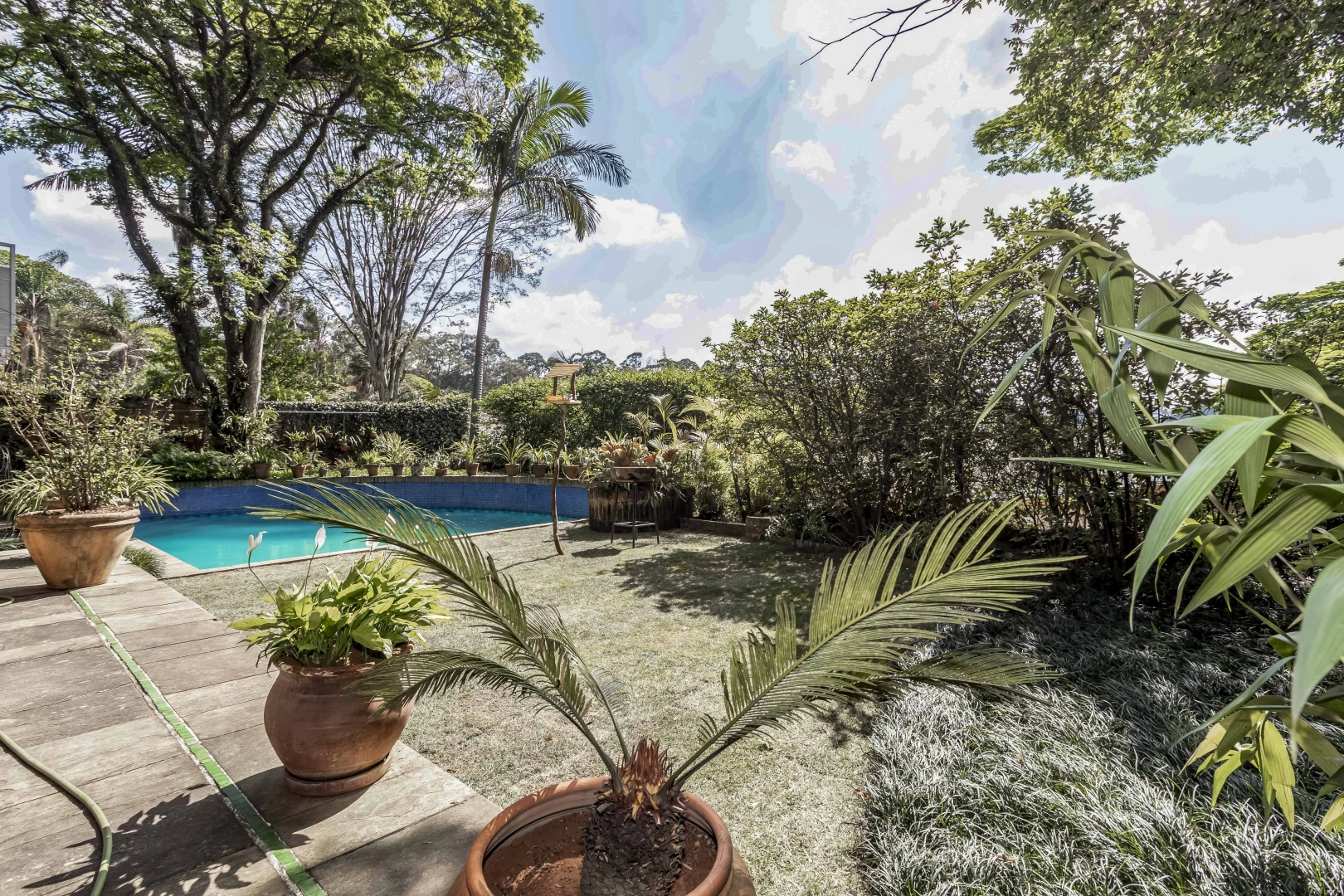 Casa com projeto diferenciado em rua arborizada - Imagem 3