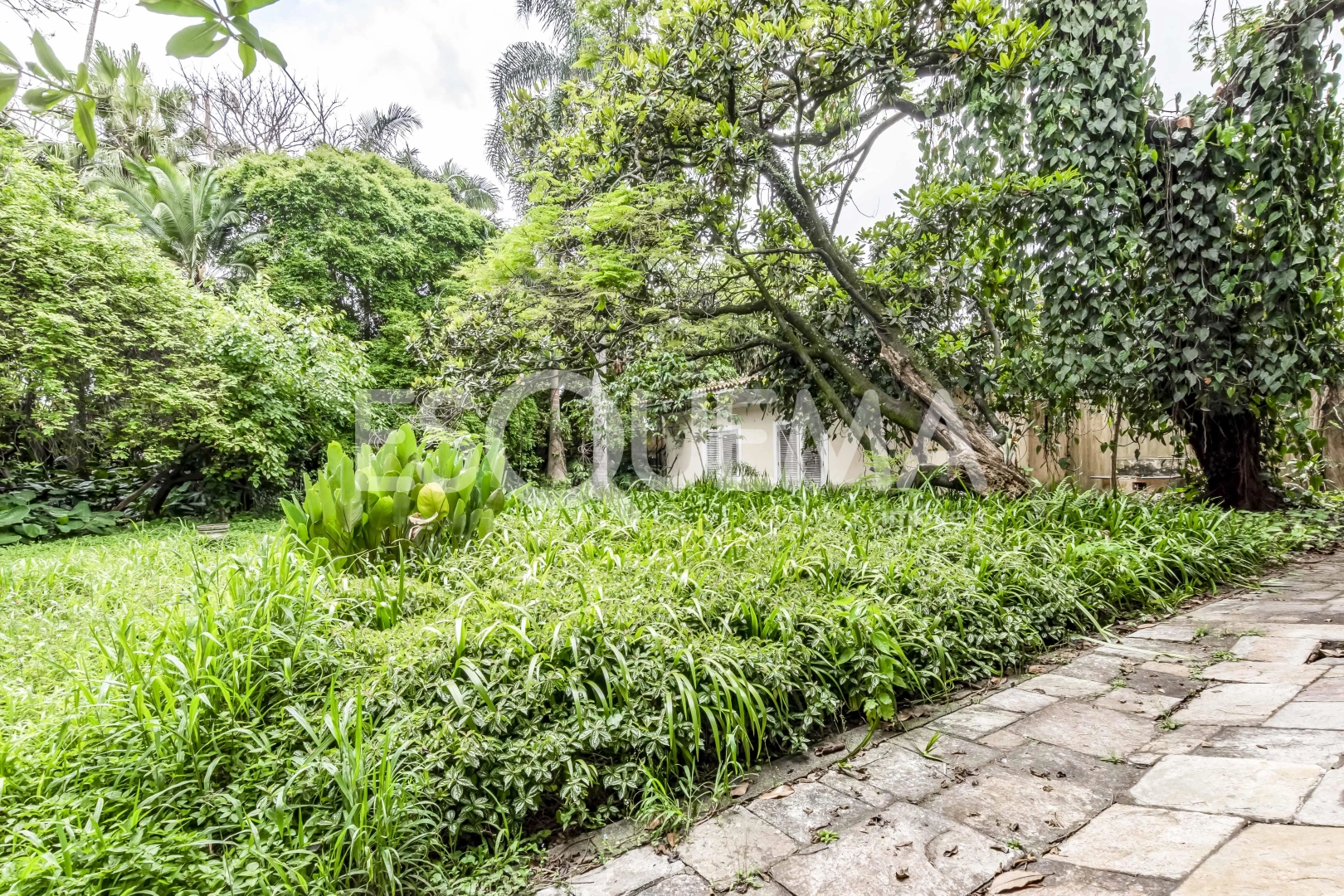 Casa em excelente localização - Imagem 11