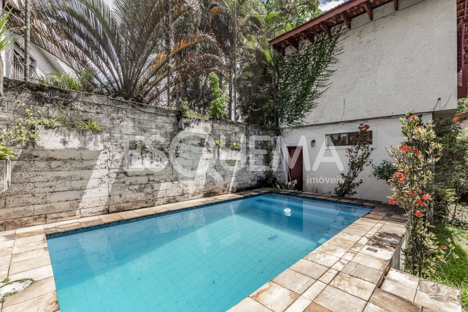 Casa para reforma em rua arborizada - Imagem 3