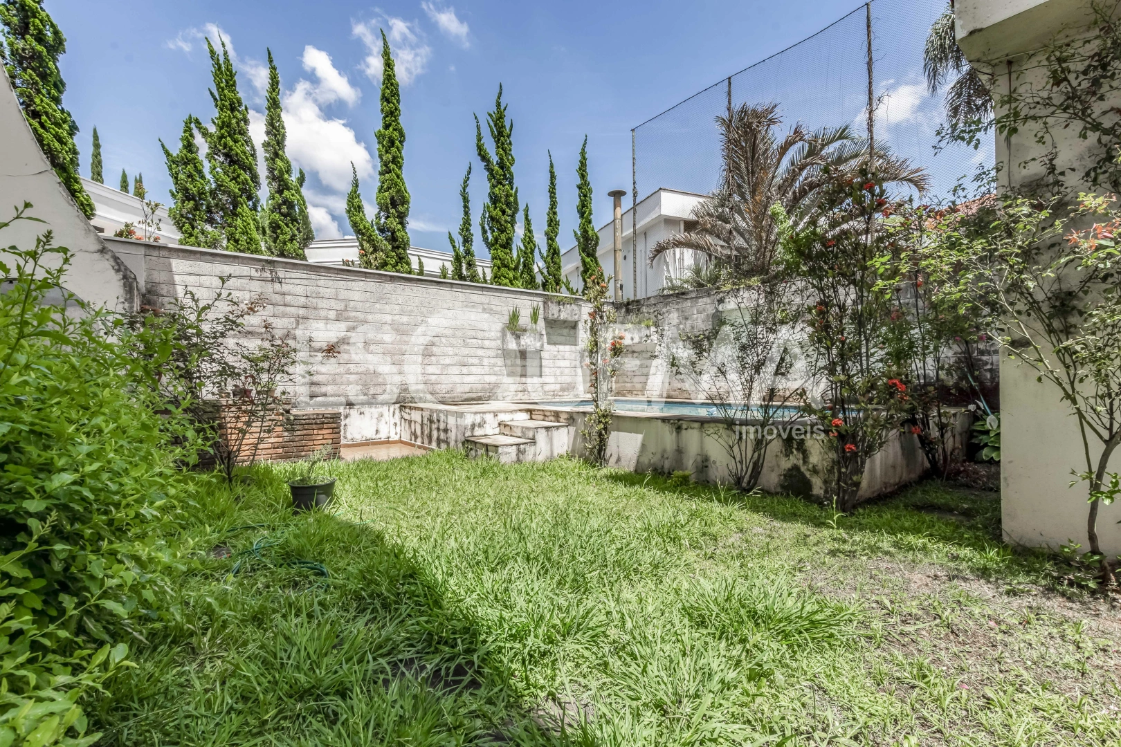 Casa para reforma em rua arborizada - Imagem 4