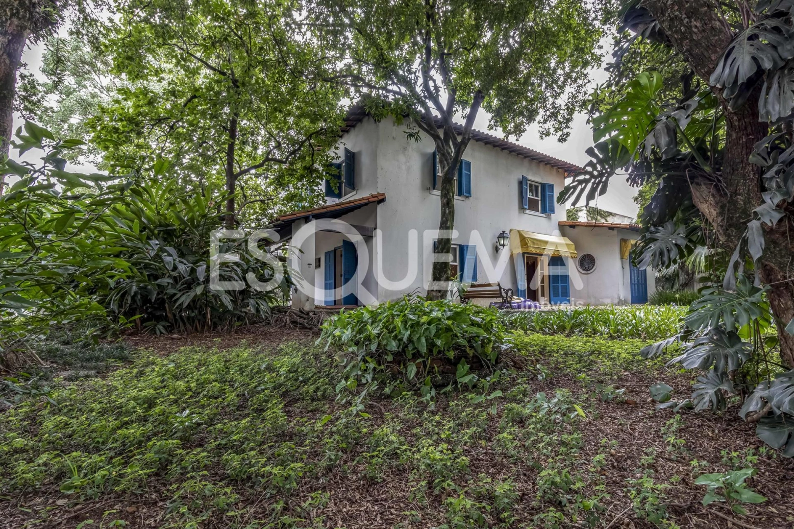Casa em localização arborizada - Imagem 1