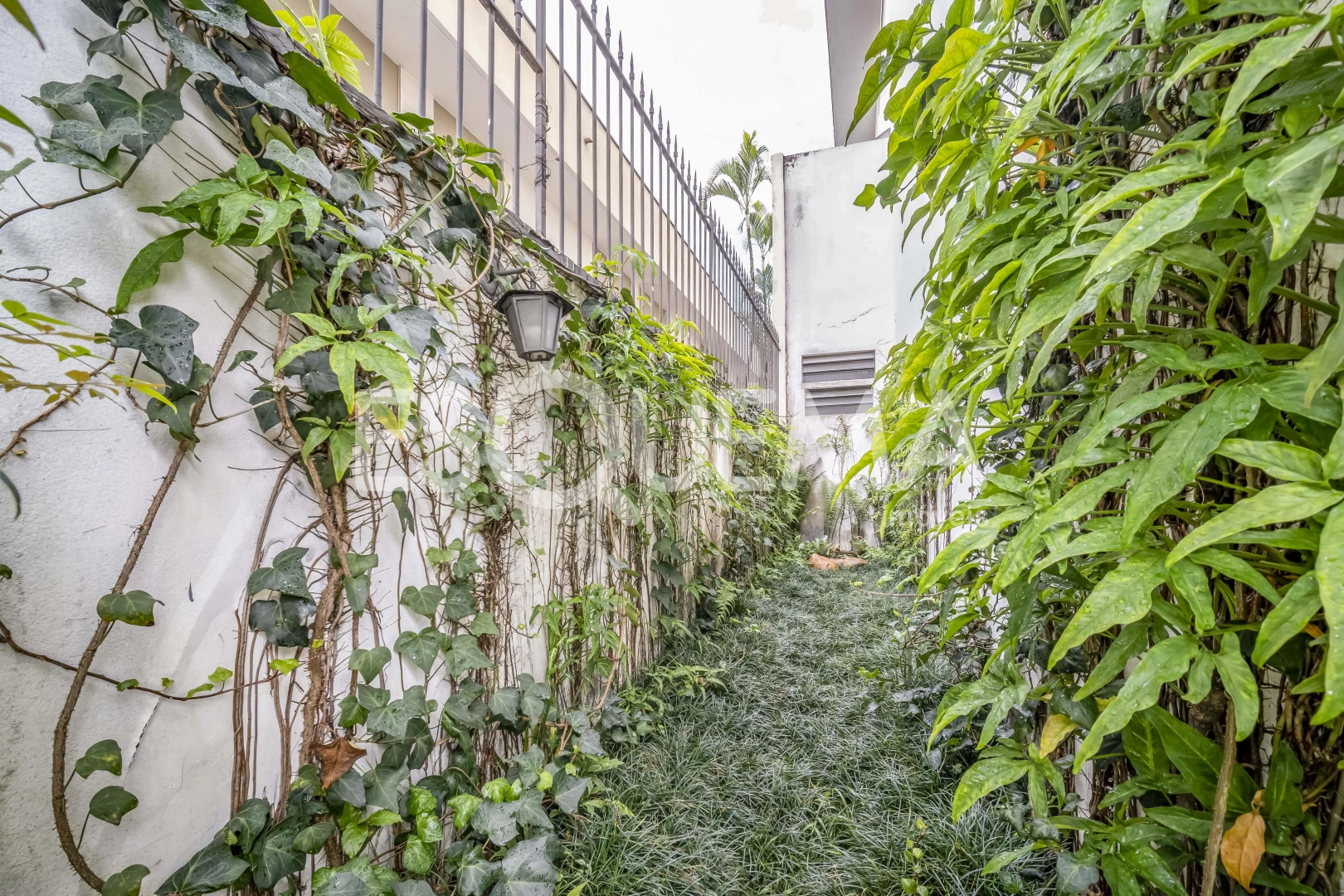Amplo casa ampla em região arborizada - Imagem 2