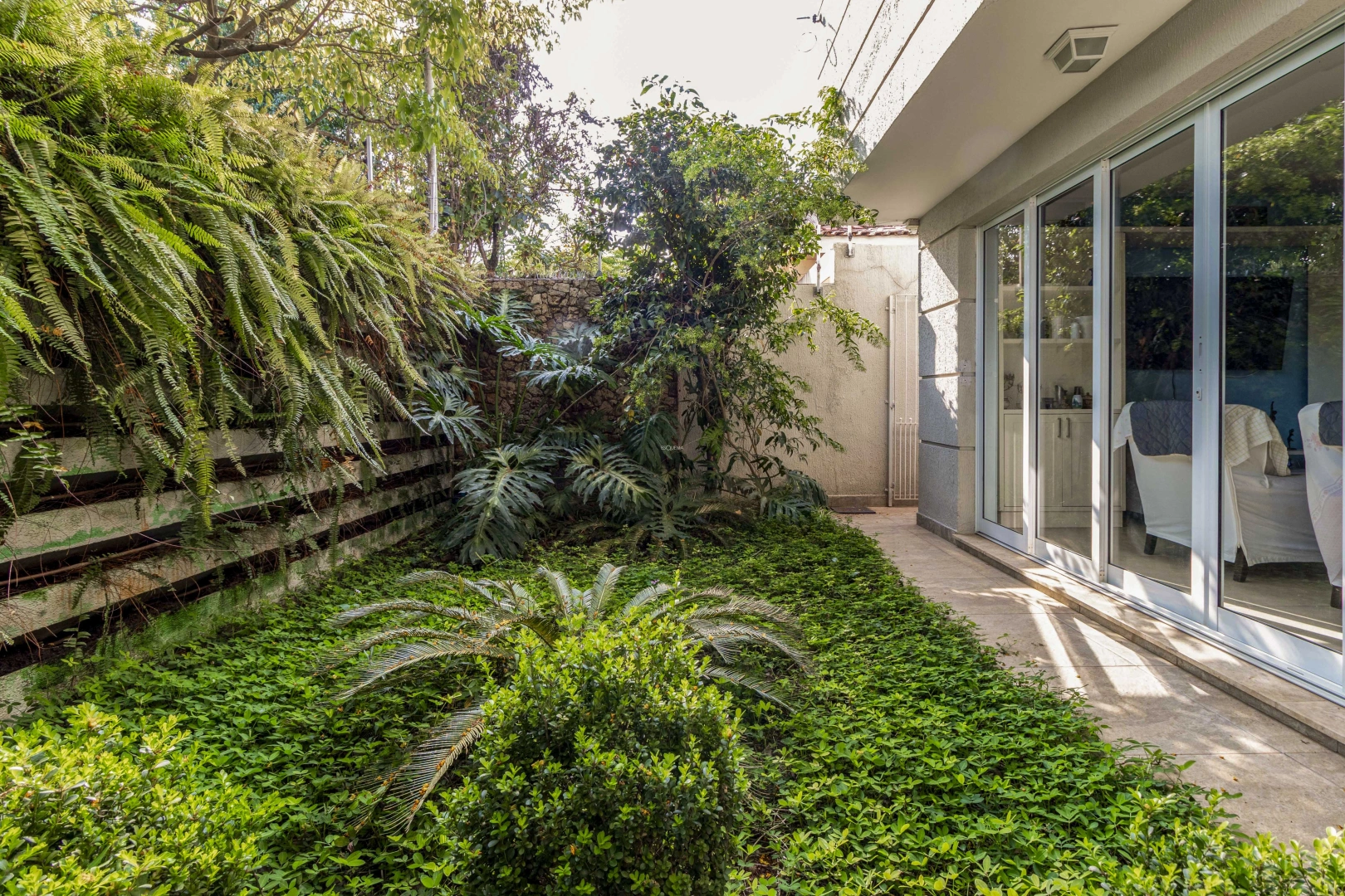 Casa com muito verde em Moema - Imagem 3