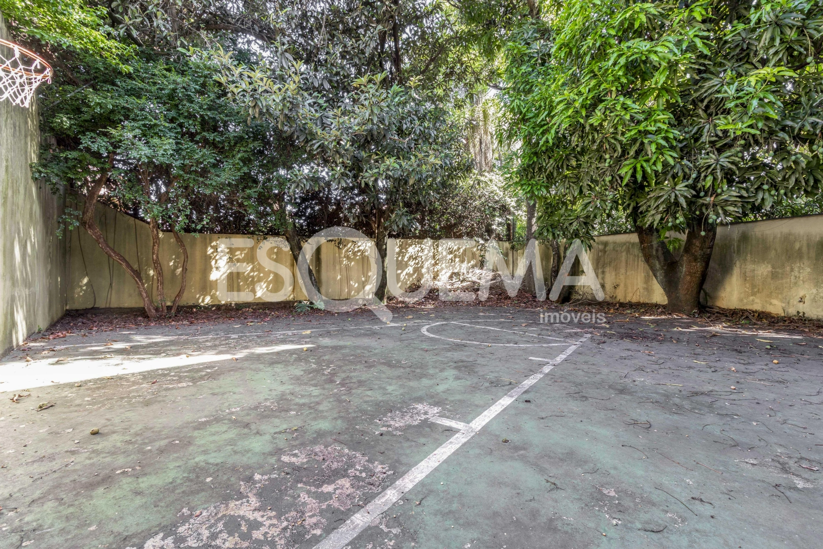 Terreno com projeto privilegiado - Imagem 11
