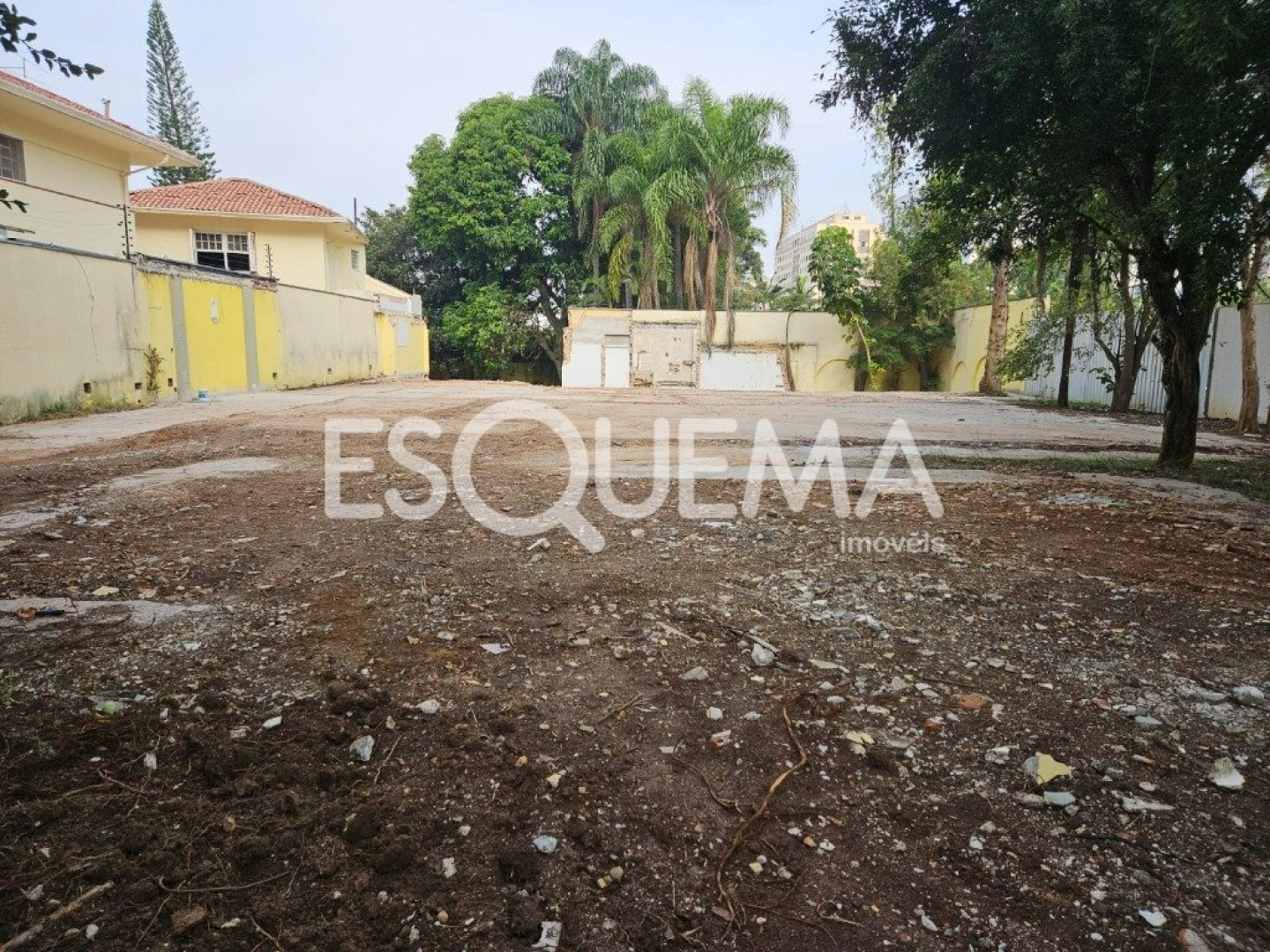 Terreno com projeto privilegiado - Imagem 7