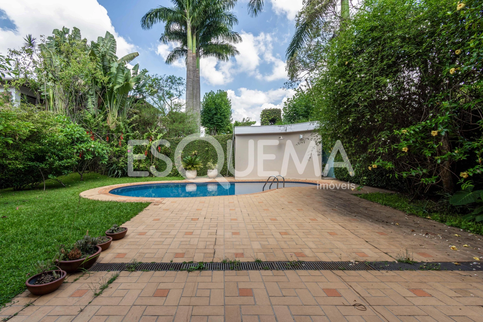 Casa com jardim em rua arborizada e com fácil acesso às principais vias da região - Imagem 6