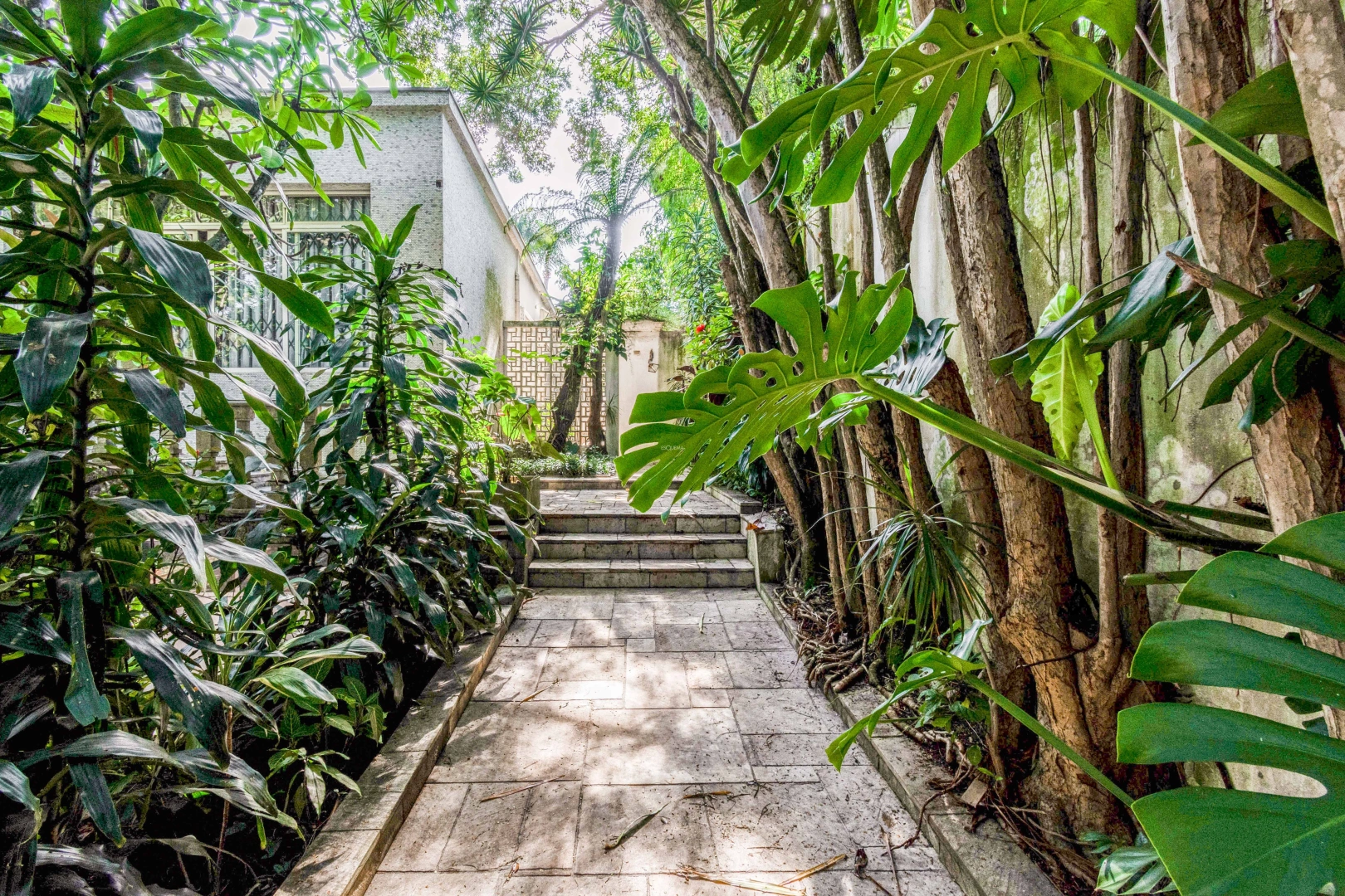 Casa com terreno amplo em rua tranquila - Imagem 7