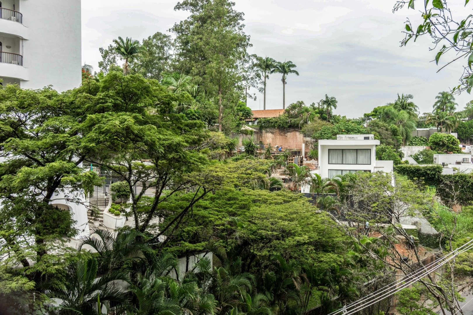 Apartamento em rua arborizada - Imagem 10