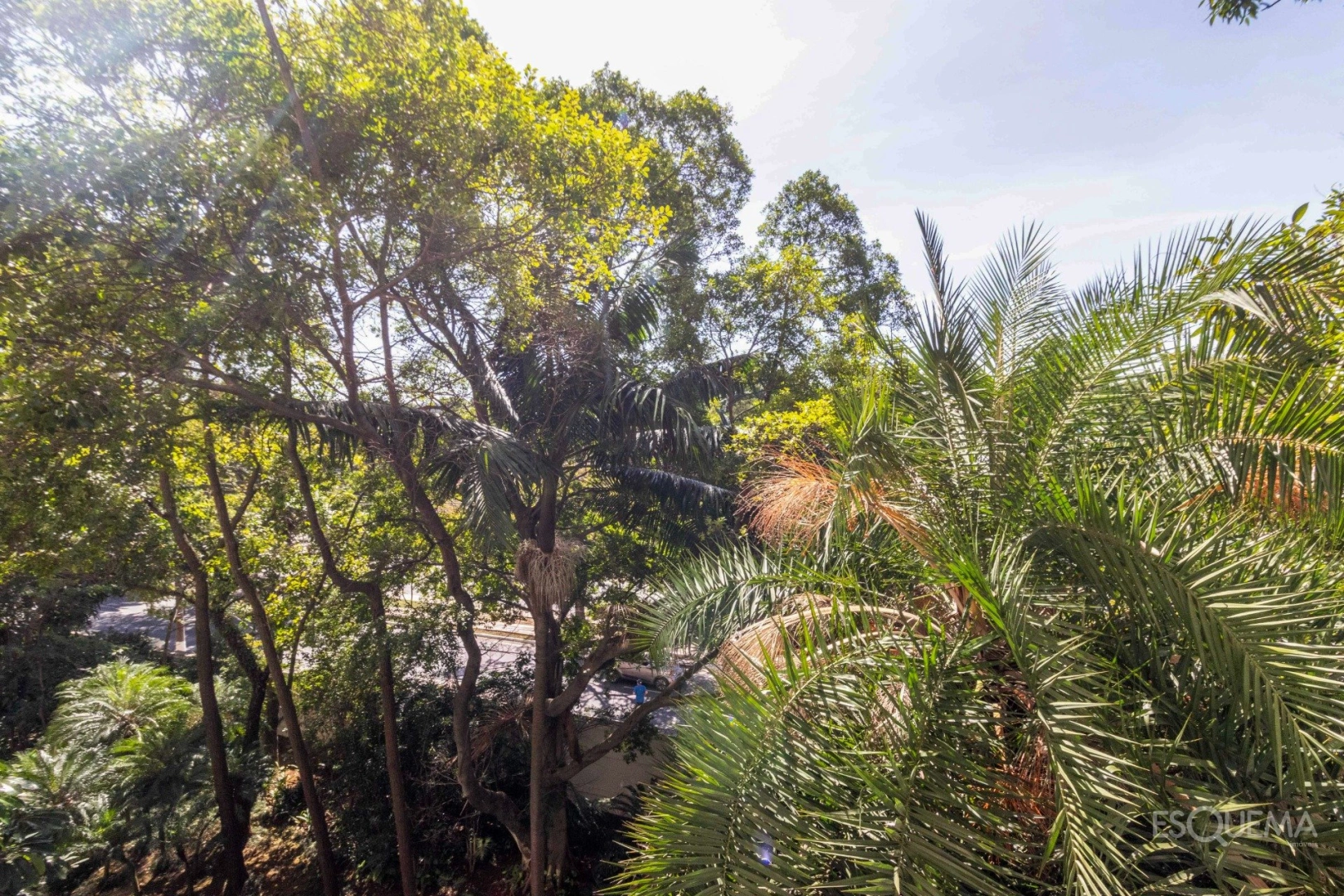 Apartamento com vista para a copa das árvores - Imagem 2