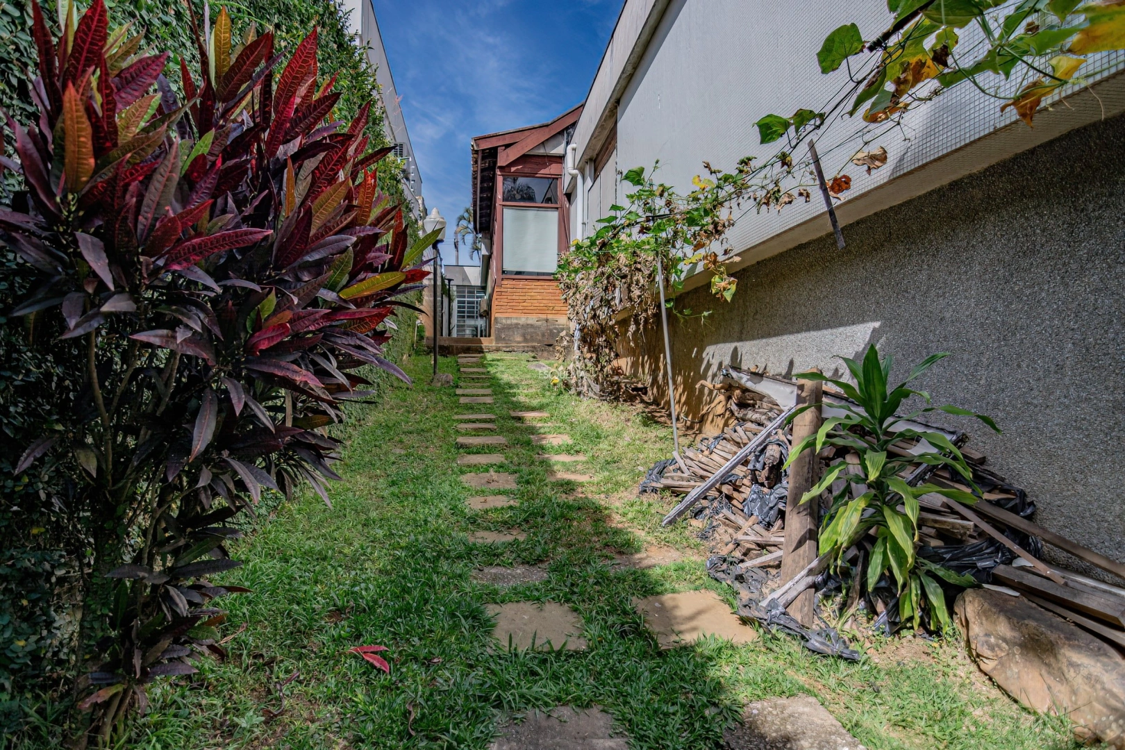 Casa e bem localizada para modernização - Imagem 4