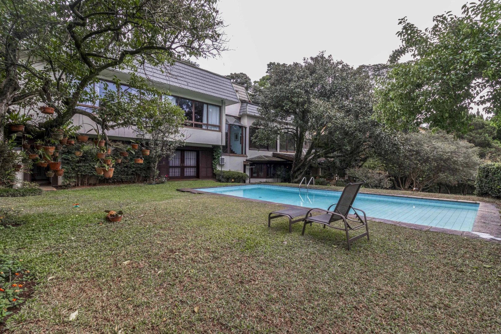 Casa rodeada por verde em rua fechada, tranquila e segura - Imagem 1