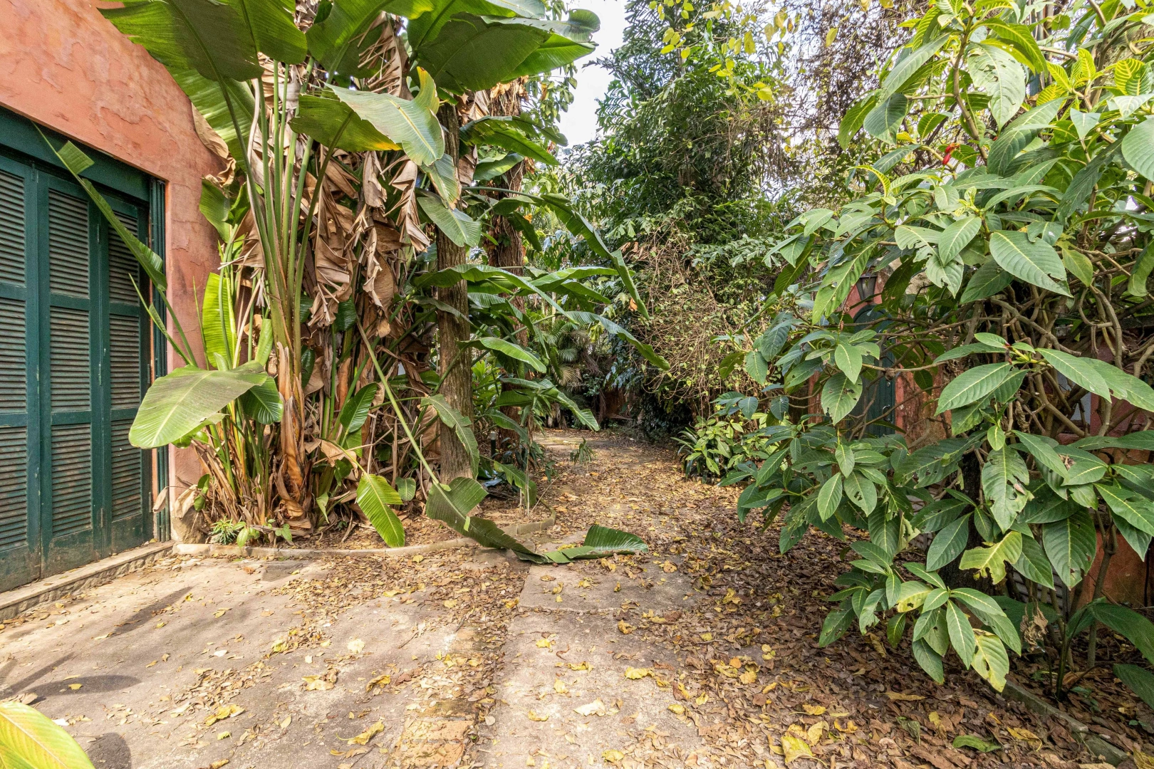 Casa para reforma total próxima ao Clube Harmonia - Imagem 2
