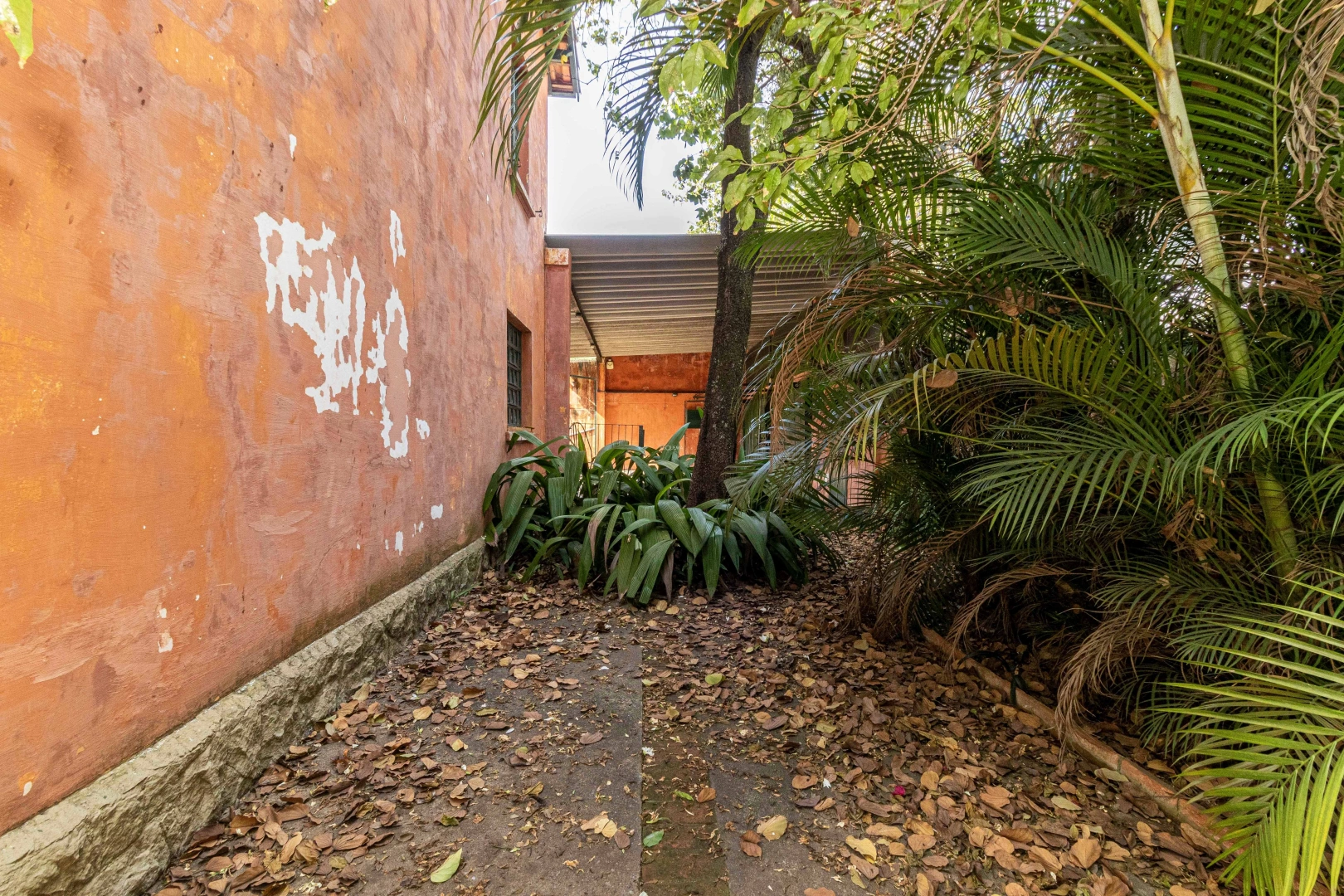 Casa para reforma total próxima ao Clube Harmonia - Imagem 4