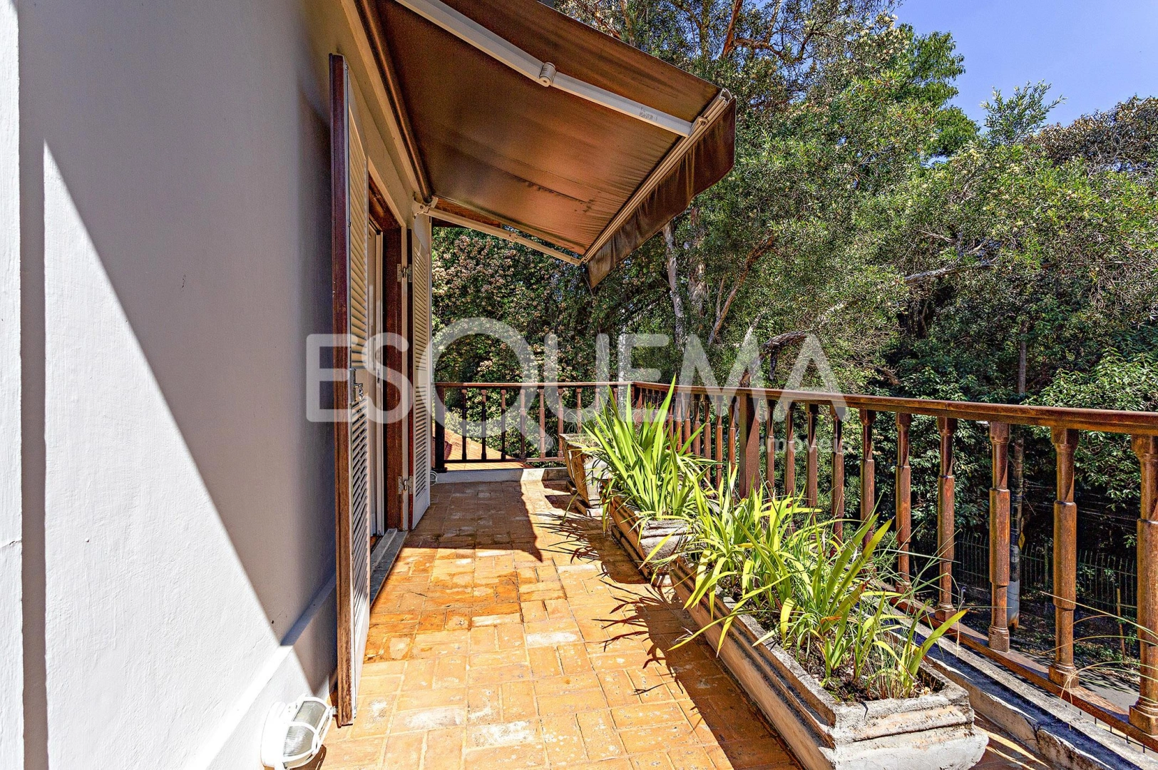 Casa cercada por verde ao lado do Parque Alfredo Volpi - Imagem 15