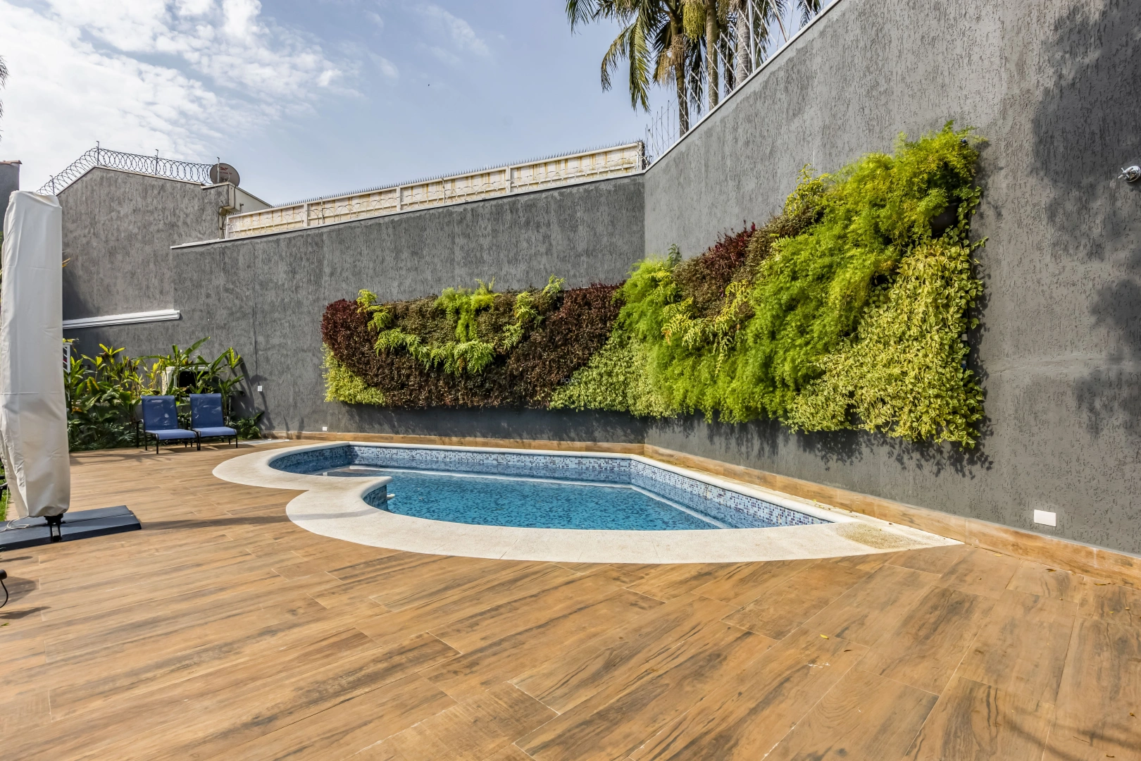 Casa com jardim privilegiado - Imagem 2