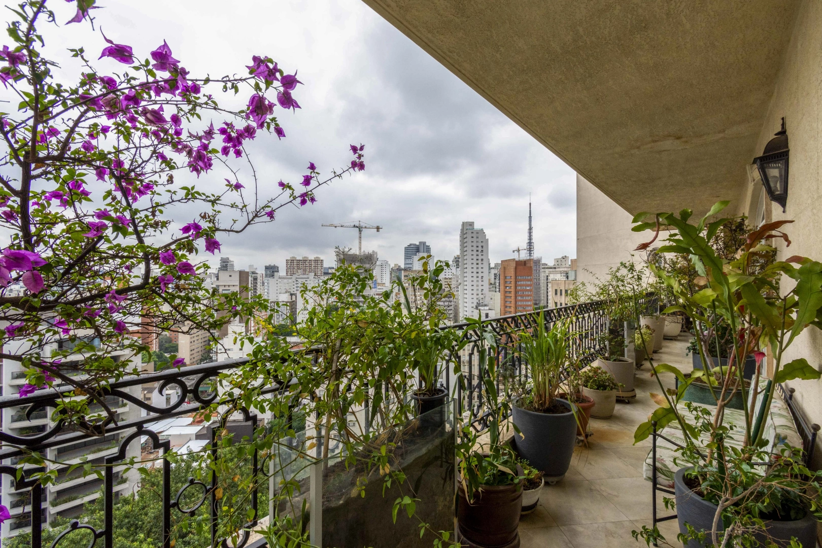 Apartamento amplo e ensolarado - Imagem 8