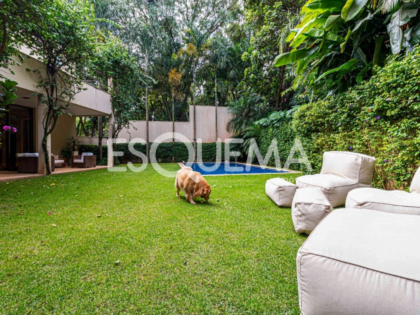 Casa com projeto Bi Chrisostomo, rodeada por belo jardim - Imagem 2