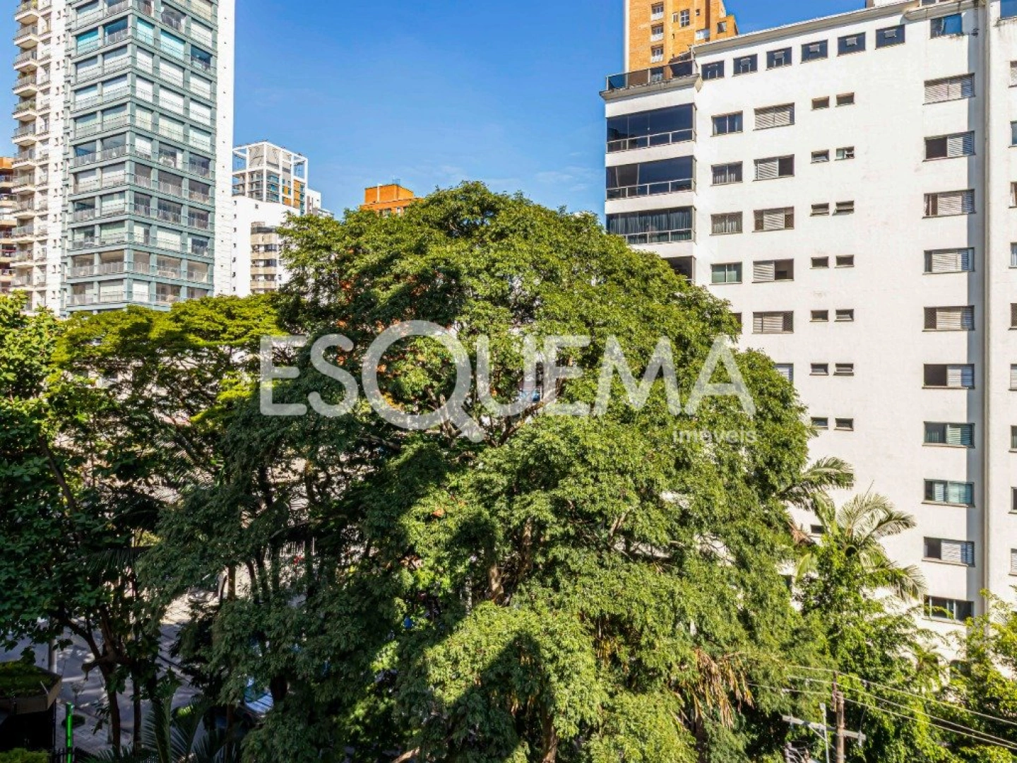 Apartamento reformado em Moema Pássaros - Imagem 7