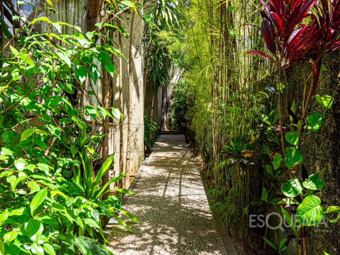 Casa no Jardim Paulista com excelente potencial - Imagem 4