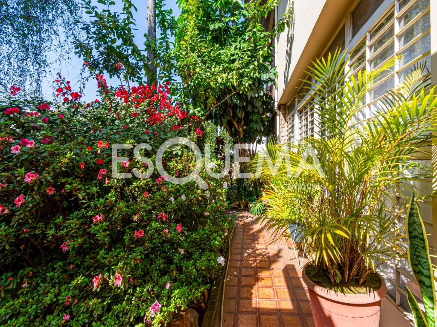 Casa para reforma próxima ao Shopping Iguatemi - Imagem 2