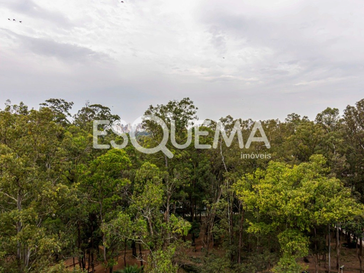 Apartamento reformado com vista para o Parque Ibirapuera - Imagem 5