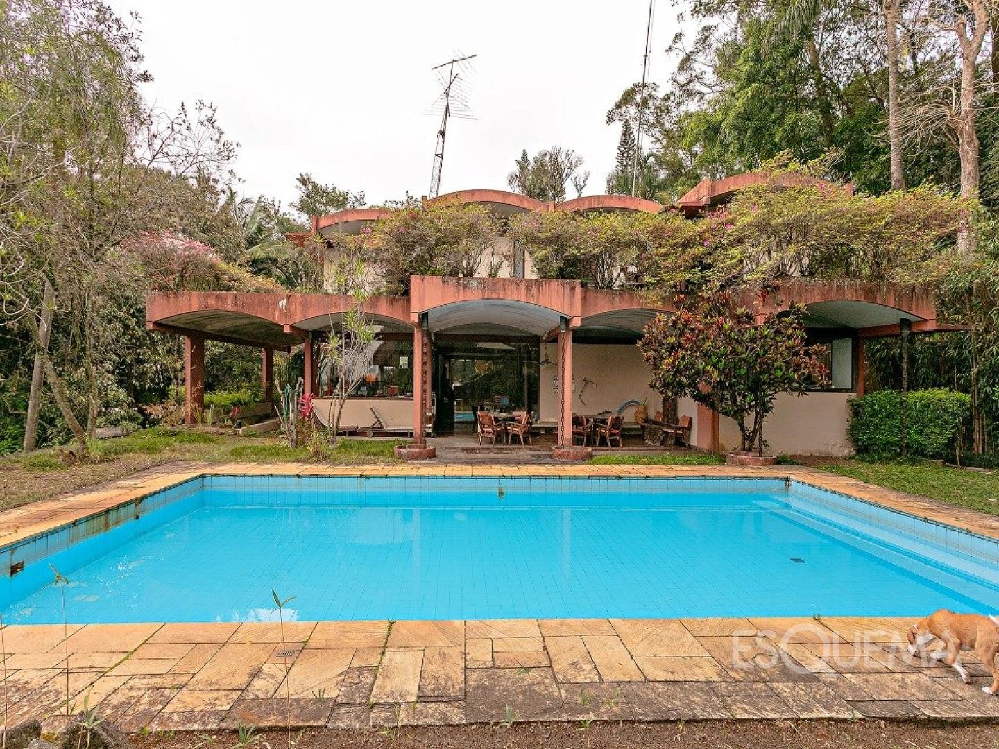 Casa cercada por verde em rua tranquila - Imagem 2