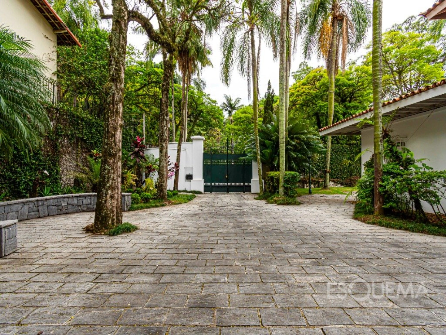 Casa em frente ao Parque Ibirapuera, com vista para as árvores - Imagem 4