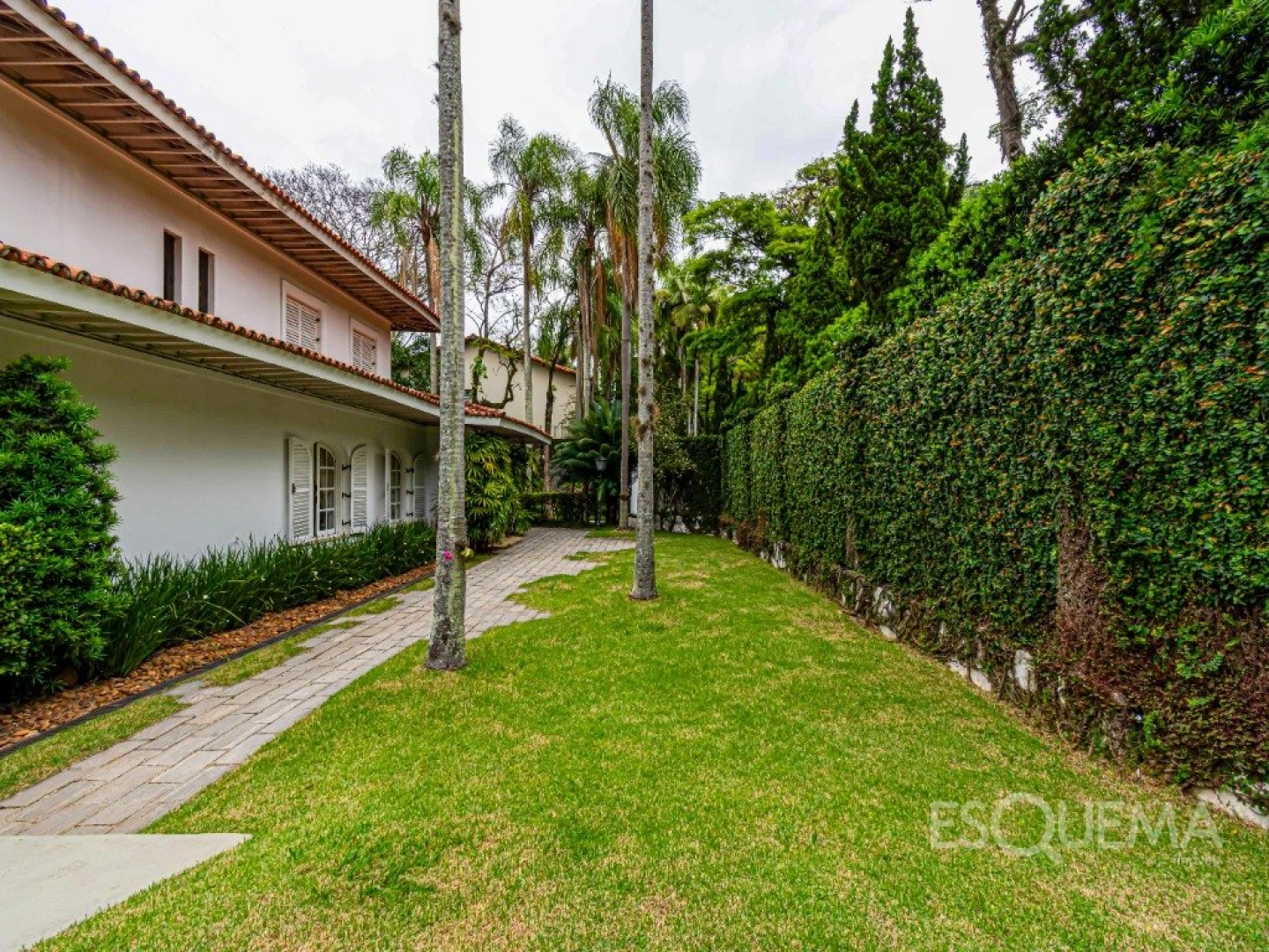 Casa em frente ao Parque Ibirapuera, com vista para as árvores - Imagem 7
