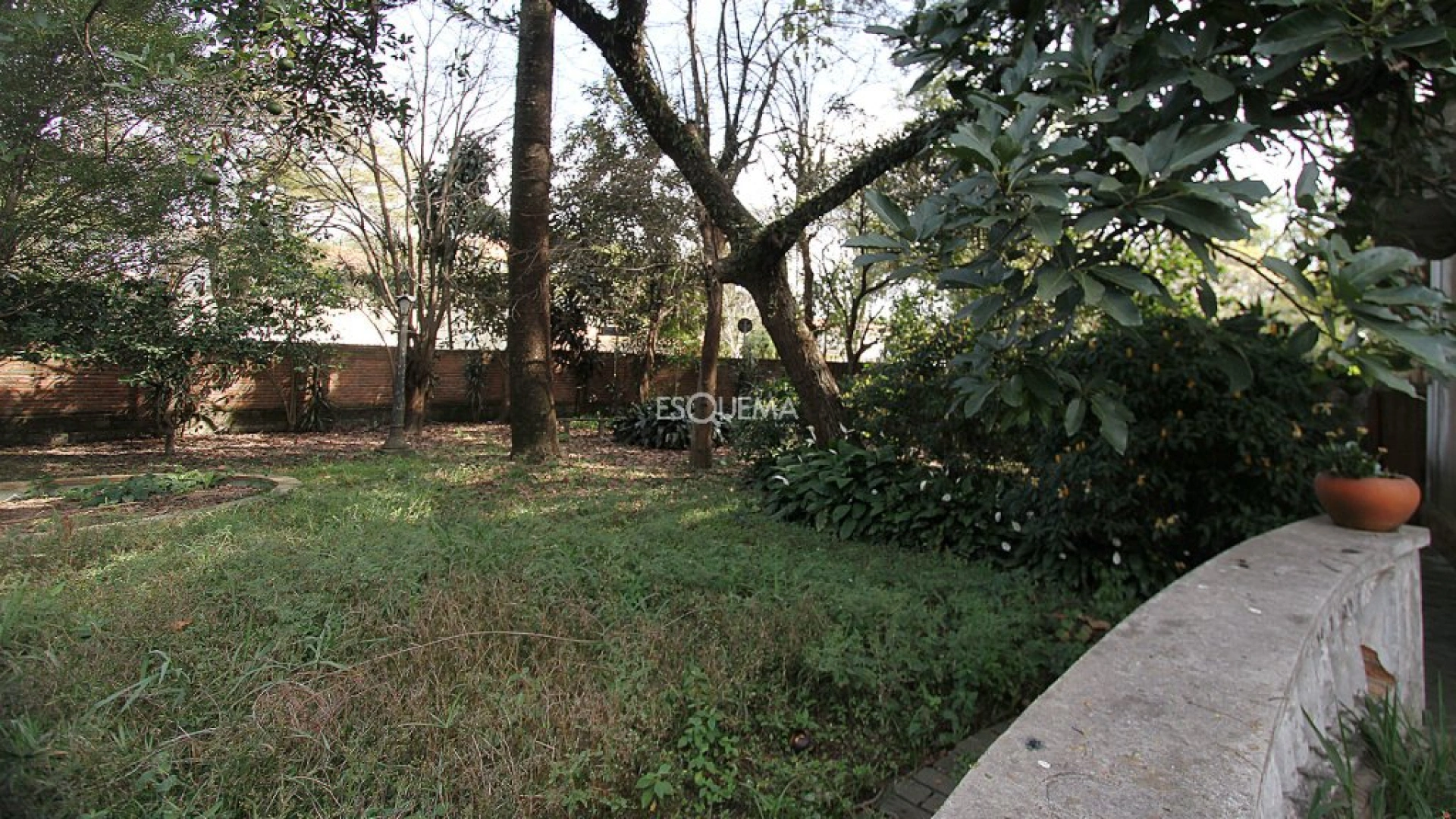 Terreno bem localizado para nova construção - Imagem 4