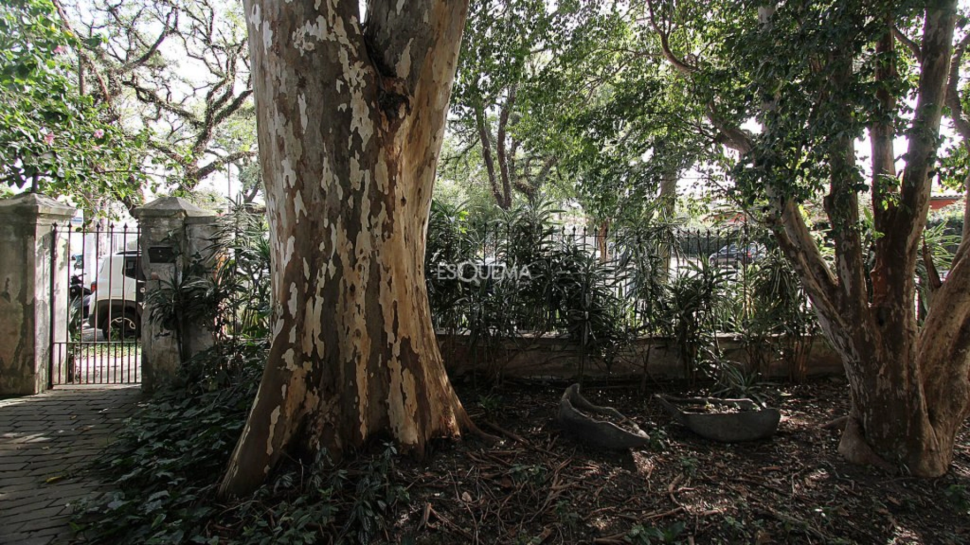 Terreno bem localizado para nova construção - Imagem 6
