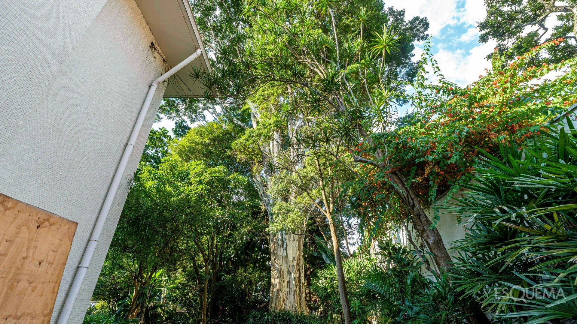 Casa com amplo terreno ao lado do Parque Ibirapuera - Imagem 12