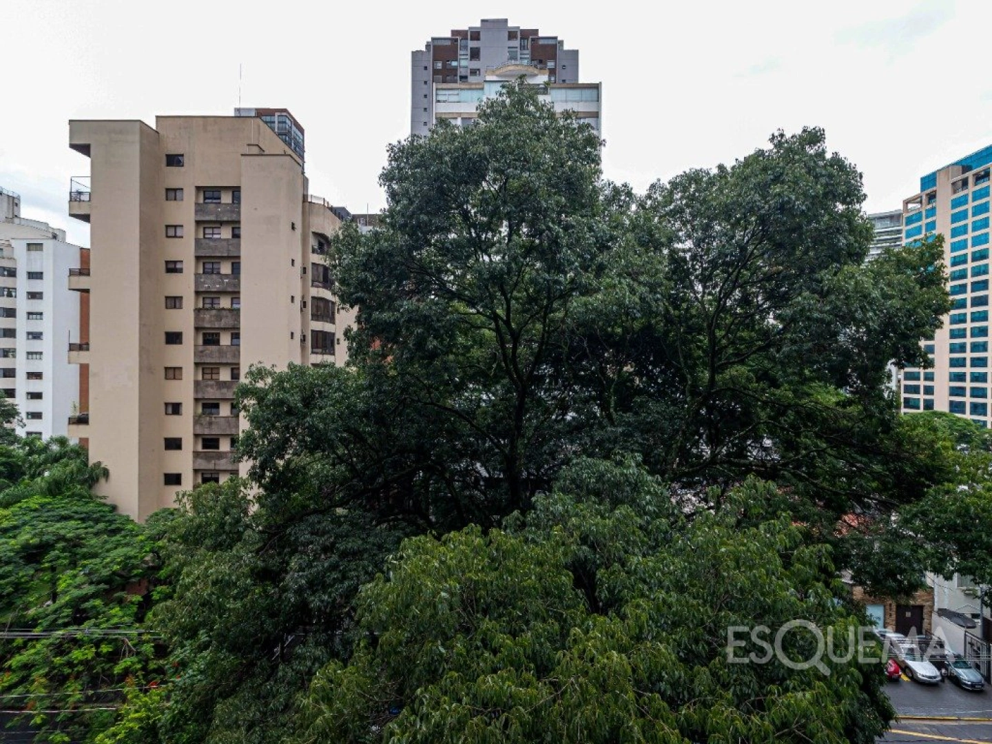 Apartamento reformado com vista para as copas das árvores em Moema Pássaros - Imagem 2